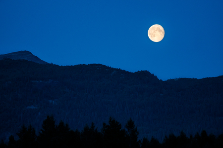 Full moon in dusk over dark mountains with blue sky in background and forest in foregroundの写真素材