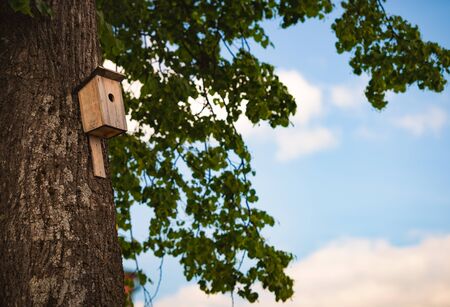 Nesting box on tree in spring forest. Blue sky with clouds in background.の写真素材