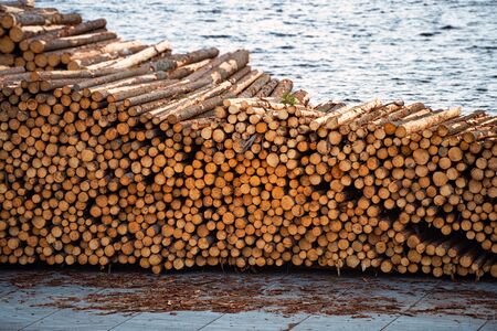 Stacks of wooden logs at docks ready to be shippedの写真素材