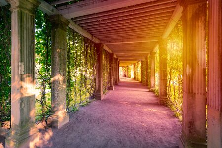 Garden tunnel in Tsarskoye Selo near Saint Petersburg . Garden in Russia, travel in Europe.の写真素材