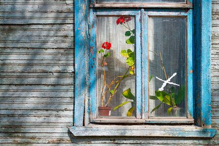 Old wood log background with cracks and lines. Window on wall of house.の写真素材