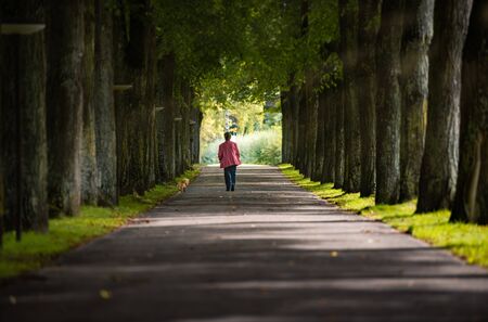 Woman walking with dog in alley of old trees in town of Bad Mergentheim, Bavaria, Germany, Europe.の写真素材