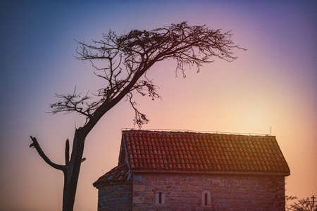 Church and tree at sunset in Montenegro, Balkans, Europe.の写真素材