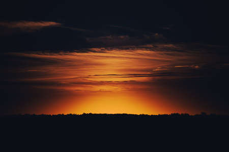 Sunset sky with clouds above dark forest at horizonの写真素材
