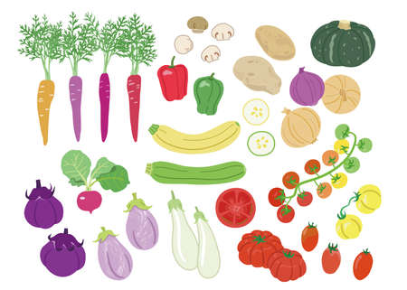Illustrated set of vegetablesのイラスト素材