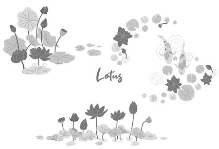 Monochrome lotus illustration setのイラスト素材