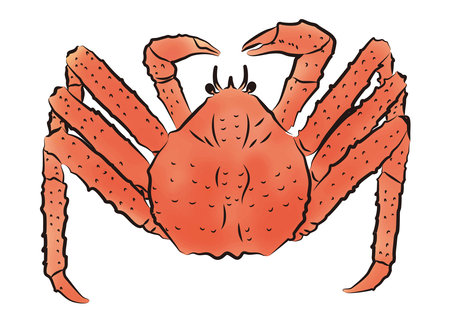 Illustration of a tarabagani (colored)のイラスト素材