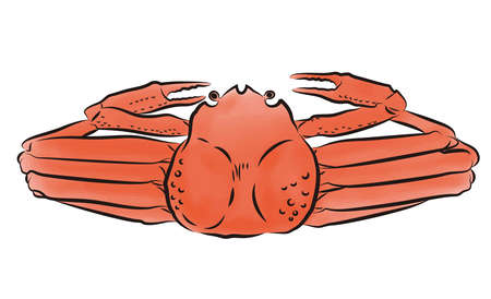 Watercolor illustration of snow crabのイラスト素材