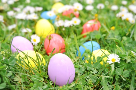 Easter eggs on the grass flowerの写真素材
