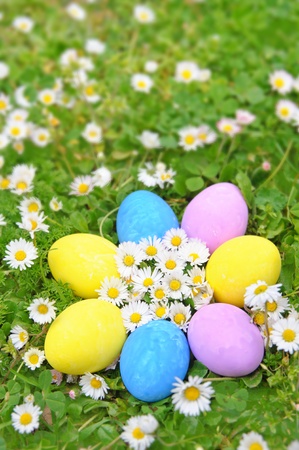 Easter eggs on the grass flowerの写真素材