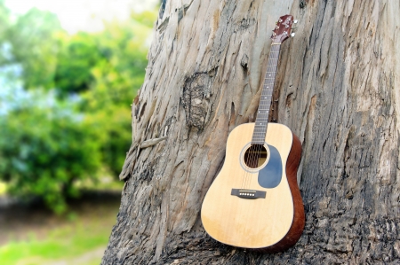 guitar on old wood wall trunk in nature の写真素材