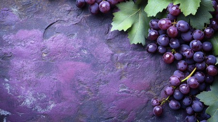 Grape vine background with a purple stone surface, featuring space for popular messages, ideal for winery and nature themes.の素材