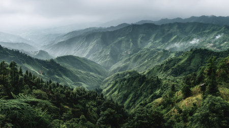 This image showcases a breathtaking, lush green mountain range enveloped in fog under a cloudy sky, perfect for themes of nature, tranquility, and adventure.の素材