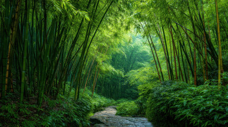 Discover a tranquil bamboo forest pathway, enveloped in lush greenery. This serene scene invites relaxation and meditation amidst vibrant nature and peaceful surroundings.の素材