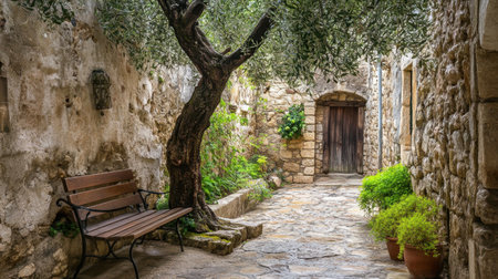 A lush olive tree in a traditional Mediterranean courtyard, surrounded by rustic stone walls and warm tones.の素材