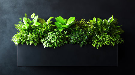 A sleek black planter filled with vibrant green plants contrasts beautifully against a dark backdrop, adding a touch of modern elegance to any indoor decor.の素材