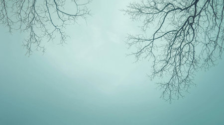 Minimalist sky background with wispy clouds and delicate tree branches, creating a peaceful nature-inspired copy space.の素材