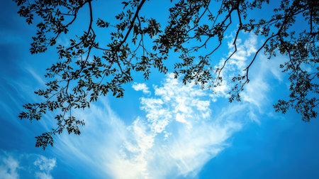 Serene blue sky with soft clouds and a silhouette of leafy tree branches reaching upward, offering tranquil scenery.の素材