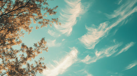 Minimalist sky background with wispy clouds and delicate tree branches, creating a peaceful nature-inspired copy space.の素材