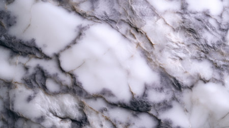Explore the detailed beauty of this white and gray marble texture, showcasing elegant veins and smooth surface, perfect for design projects.の素材