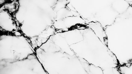Discover an exquisite black and white marble texture featuring intricate veins, ideal for various design purposes, including backgrounds and interiors.の素材