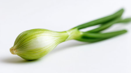 This image captures a fresh green onion with a white bulb and long green stalks, perfect for emphasizing healthy eating and organic cooking methods.の素材