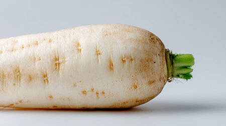 A close-up view of a fresh white radish with vibrant green leaves set against a plain white background, highlighting its natural textures. This versatile root vegetable is often used in salads, meals, and healthy snacks.の素材