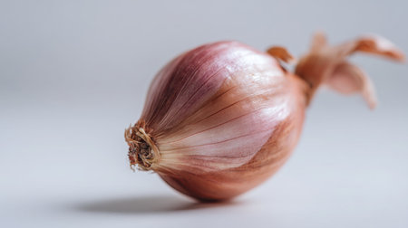 A close-up image of a fresh raw shallot with smooth skin and vibrant color set against a light backdrop, ideal for culinary inspiration.の素材