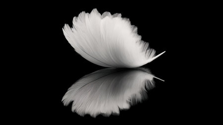 This stunning image features a delicate white feather gracefully resting on a black surface, creating a beautiful reflection. The simplicity and elegance embody a serene natural beauty, perfect for artistic and minimalist aesthetics.の素材