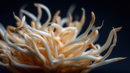 Explore the captivating details of organic tendrils in this close-up image, highlighting intricate textures and soft colors against a dark background.の素材