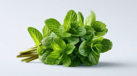 Vibrant and fresh green mint leaves arranged elegantly on a light background, perfect for culinary projects, herbal remedies, and decorative uses.の素材