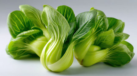 This image showcases fresh bok choy leaves with a vibrant green color against a light background. Ideal for recipes and healthy eating inspiration.の素材