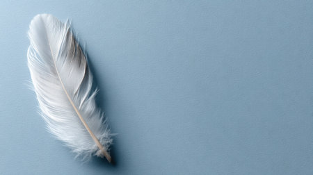A beautiful white feather resting gently on a soft blue background. This image evokes feelings of peace and tranquility, making it perfect for artistic and design projects focusing on nature and minimalism.の素材