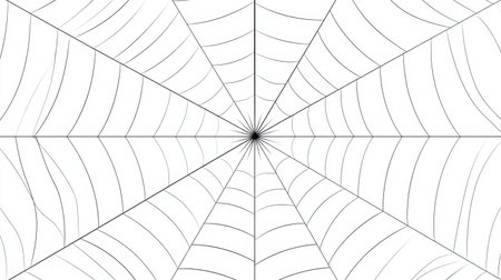 This image features a detailed minimalist spider web design in black and white, showcasing intricate lines and patterns, perfect for artistic projects.の素材