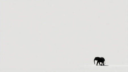 A solitary elephant walks gracefully across a minimal white background, symbolizing themes of tranquility, nature, and conservation in wildlife photography.の素材