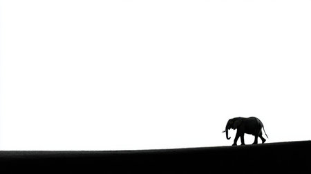 A striking black and white image captures the silhouette of an elephant walking along the horizon, embodying tranquility and solitude in nature.の素材