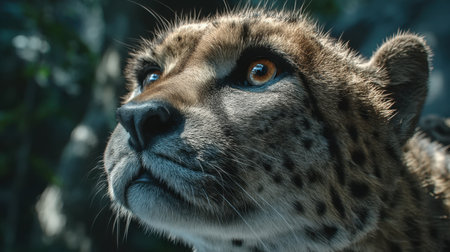 This close-up image showcases a leopard, highlighting its intense eyes and unique fur pattern, perfectly blending with the jungle backdrop.の素材