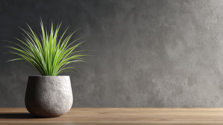 A stylish modern plant in a minimalist pot on a wooden table, against a textured gray wall, creating a serene atmosphere for home decor.の素材