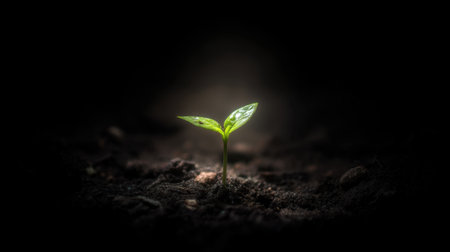 A vibrant green seedling emerges from dark soil, illuminated by gentle light, representing growth, hope, and the beauty of nature in a transformative moment.の素材