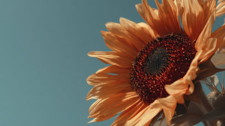 This close-up image captures a vibrant sunflower with striking yellow petals and a rich center, set against a clear blue sky, showcasing nature's beauty.の素材
