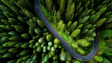 This aerial image captures a serene scene of a winding road snaking through dense green pine trees in a lush forest. Perfect for travel and nature themes.の素材