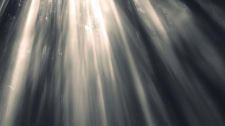 Soft light rays pierce through a dense forest canopy, creating a tranquil and ethereal atmosphere. The interplay of light and shadows evokes a sense of peace and serenity.の素材