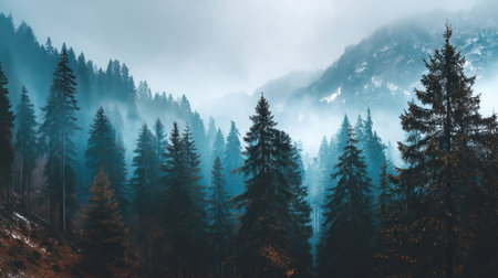 A breathtaking view of a serene forest landscape featuring tall pine trees, mist, and mountains creates a tranquil atmosphere in nature.の素材