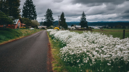 A picturesque rural road lined with vibrant white flowers invites travelers to explore the serene countryside, with dramatic clouds overhead.の素材