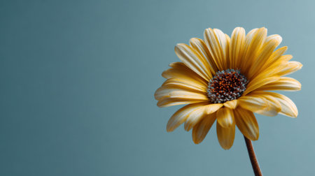 A stunning close-up of a bright yellow flower showcasing its delicate petals and intricate stamen against a soft blue backdrop, perfect for themes of beauty and nature.の素材