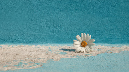A stunning white daisy rests elegantly against a vibrant blue wall, showcasing textures and natural light, perfect for decorative purposes.の素材