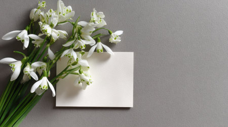 A serene composition featuring elegant white snowdrop flowers beside a blank card on a soft gray background, perfect for creative projects or seasonal greetings.の素材