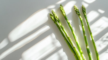 Fresh green asparagus stalks are elegantly arranged on a white background, showcasing vibrant color and natural light, ideal for culinary visuals.の素材