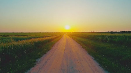A tranquil scene showcasing a dirt road stretching into the horizon at sunset, with lush green fields flanking both sides, creating a warm and serene atmosphere perfect for relaxation and reflection.の素材