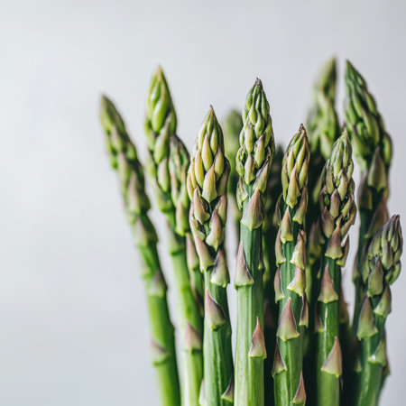 Lush green asparagus stalks arranged upright, showcasing their vibrant color and fresh appeal. Ideal for healthy cooking and nutrition-themed projects.の素材